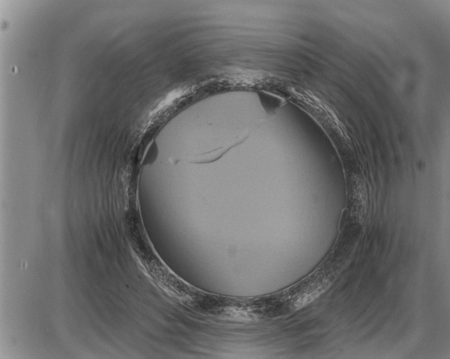 X0000085250496200703231653