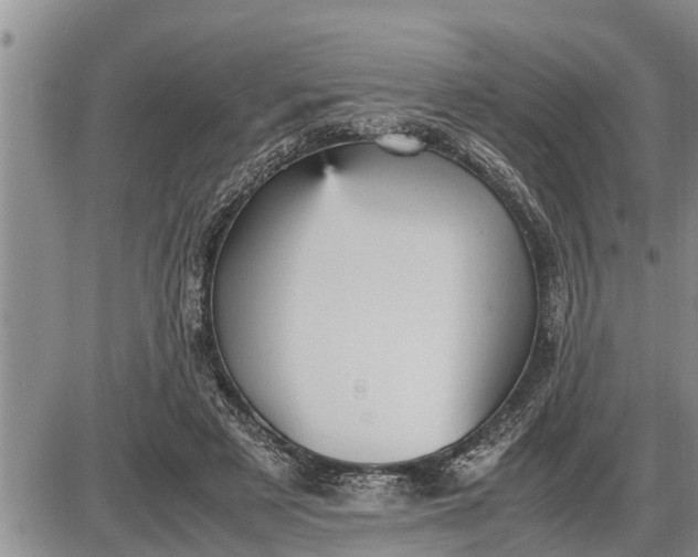 X0000085250497200703231653