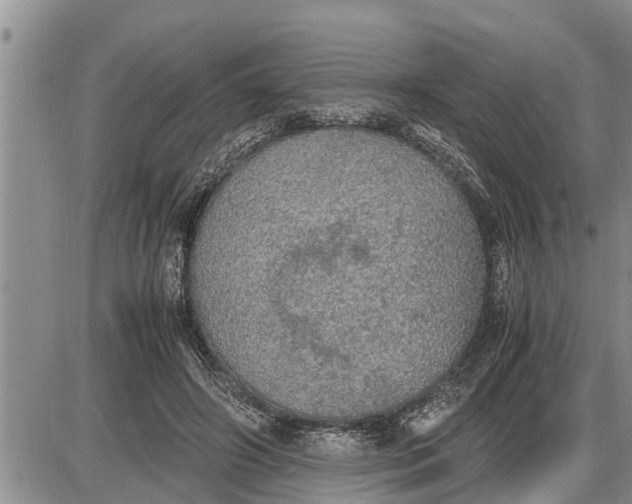 X0000085250498200703231653