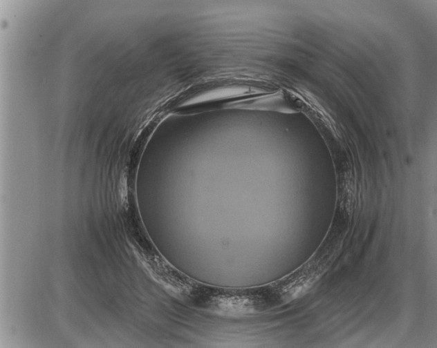 X0000085250500200703231653