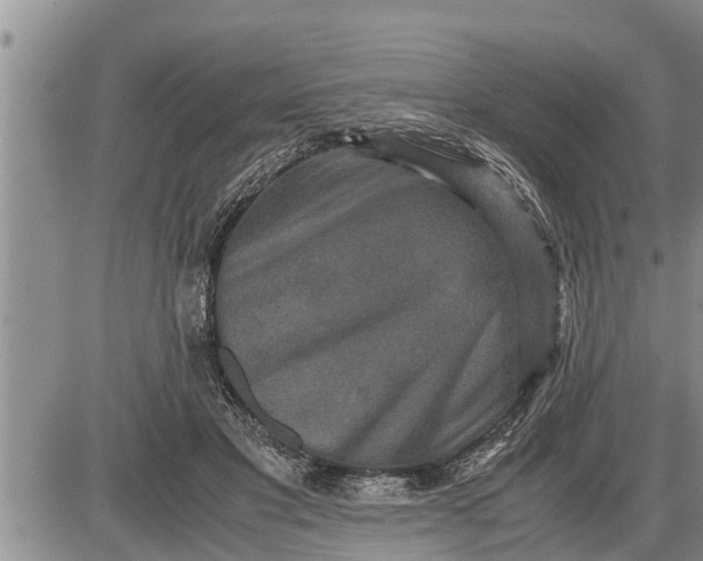 X0000085250501200703231653