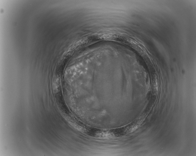 X0000085250503200703231653