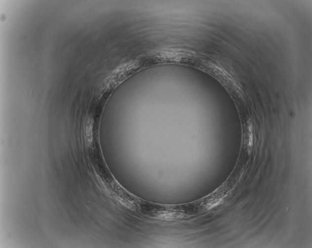 X0000085250504200703231653