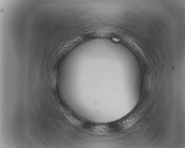 X0000085250505200703231653