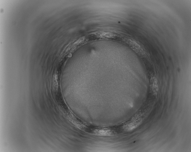 X0000085250506200703231653