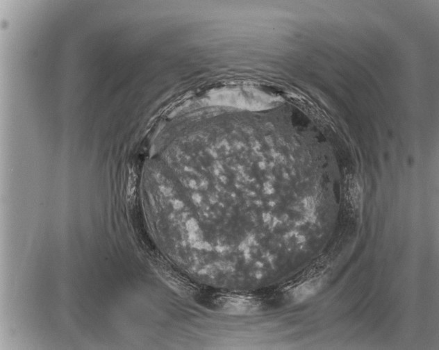 X0000085250507200703231653