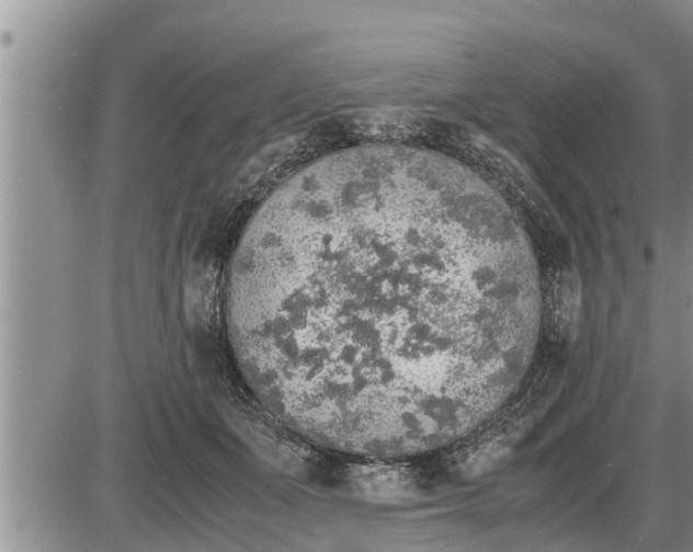 X0000085250511200703231653