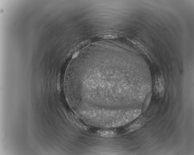 X0000085250512200703231653