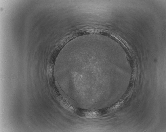 X0000085250513200703231653