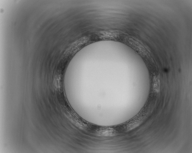 X0000085250514200703231653