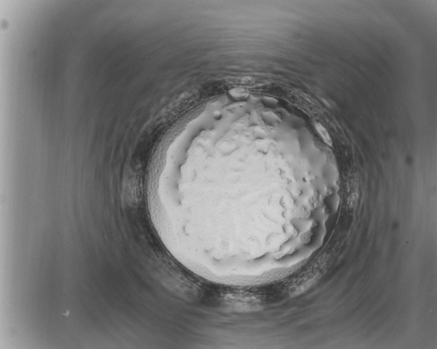 X0000085250515200703231653