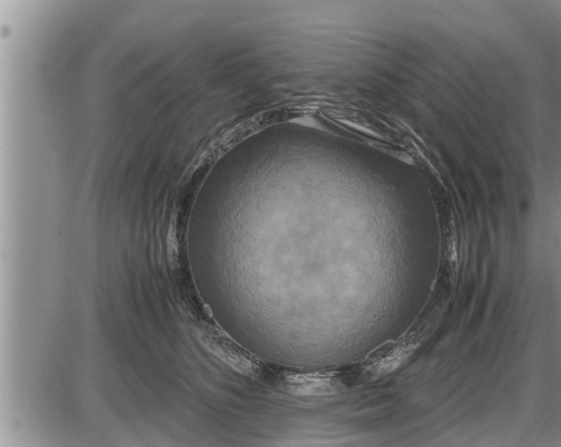 X0000085250516200703231653