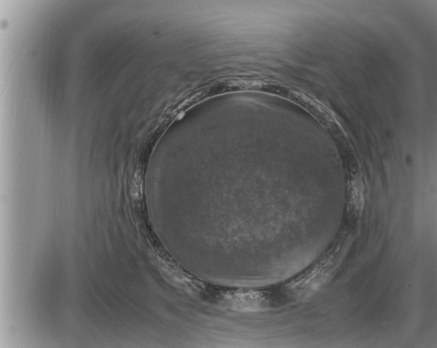 X0000085250517200703231653