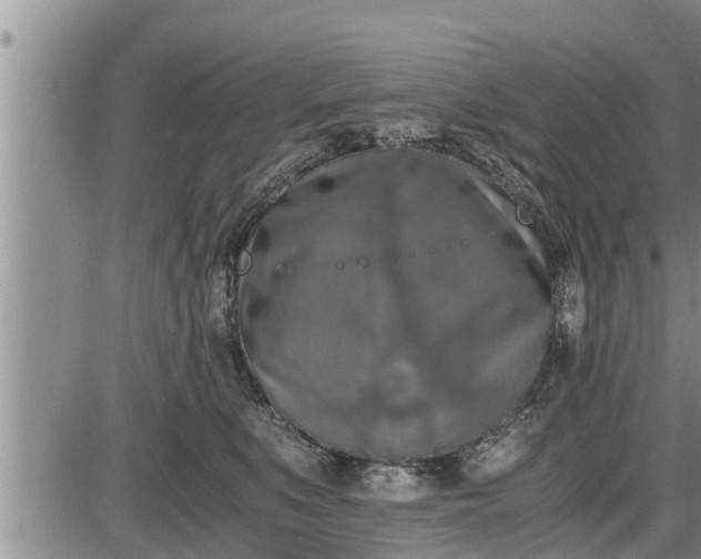 X0000085250519200703231653