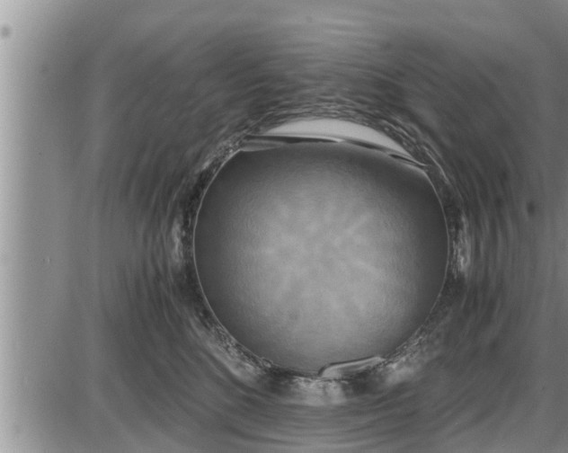 X0000085250520200703231653