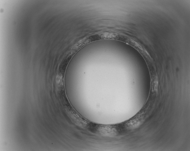 X0000085250521200703231653