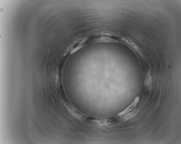 X0000085250524200703231653