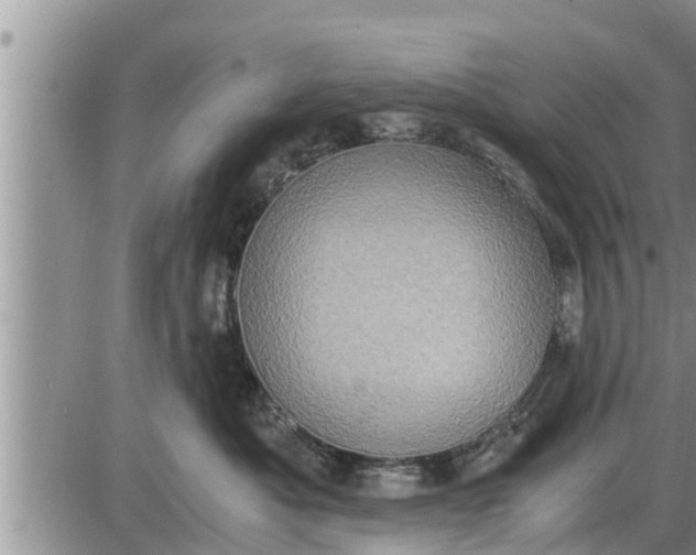 X0000085250525200703231653