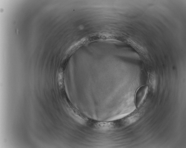 X0000085250526200703231653