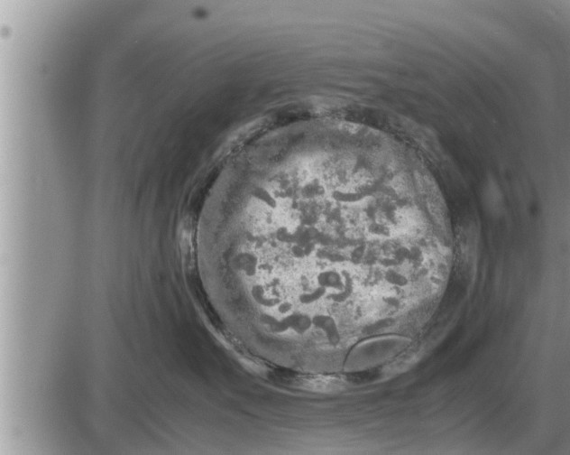 X0000085250527200703231653