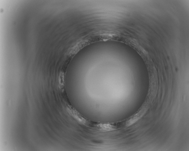 X0000085250528200703231653