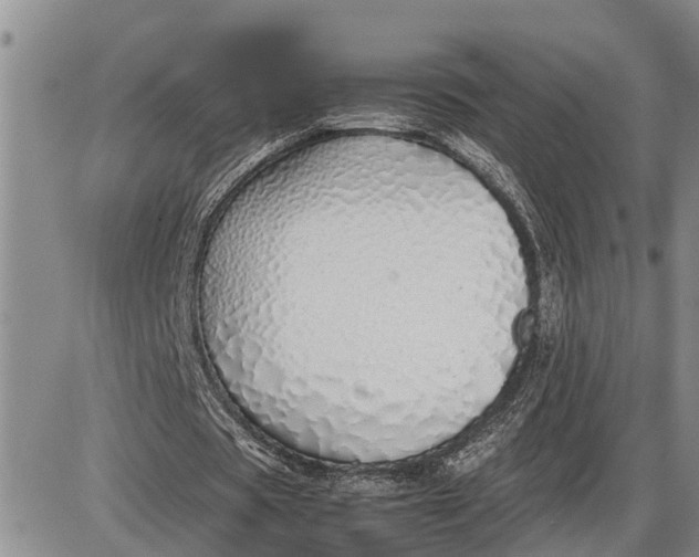 X0000085250529200703231652