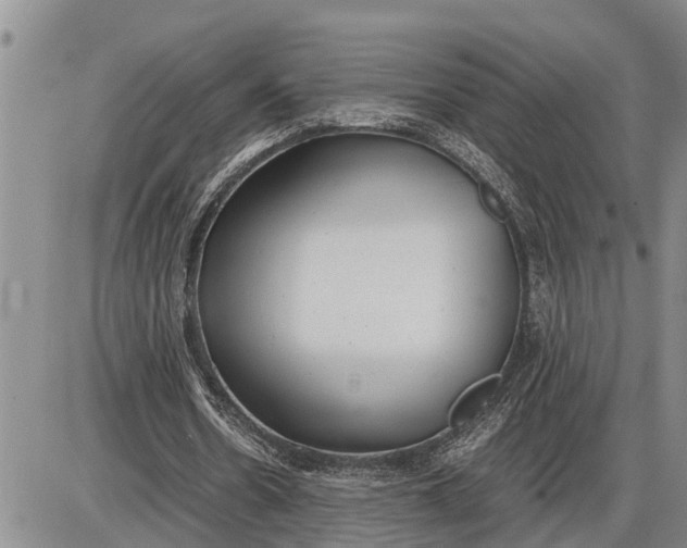 X0000085250530200703231652