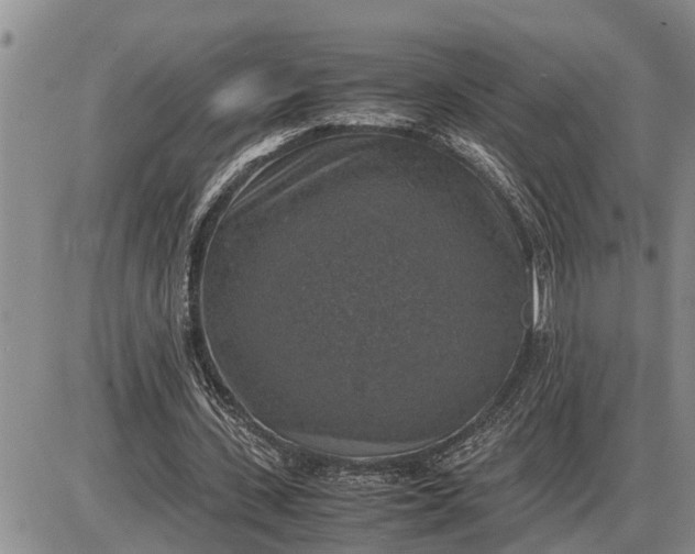 X0000085250531200703231652