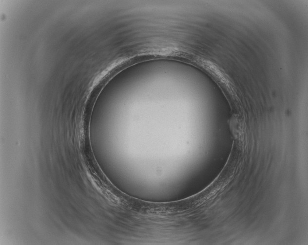 X0000085250532200703231652