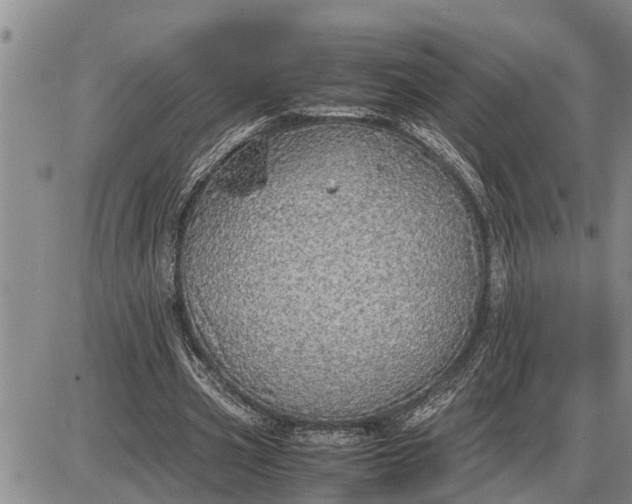 X0000085250533200703231652