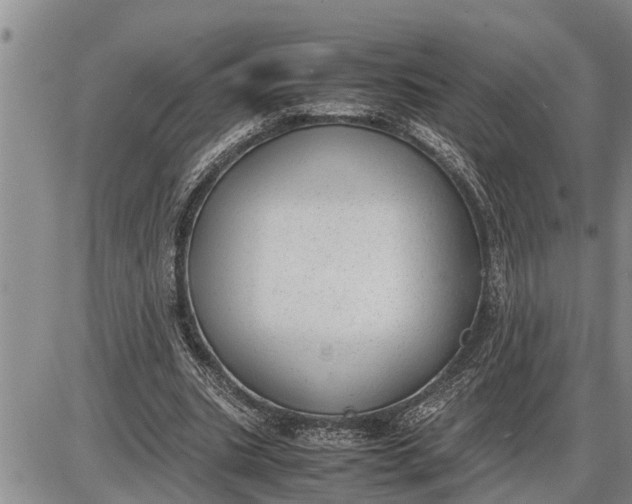 X0000085250535200703231652