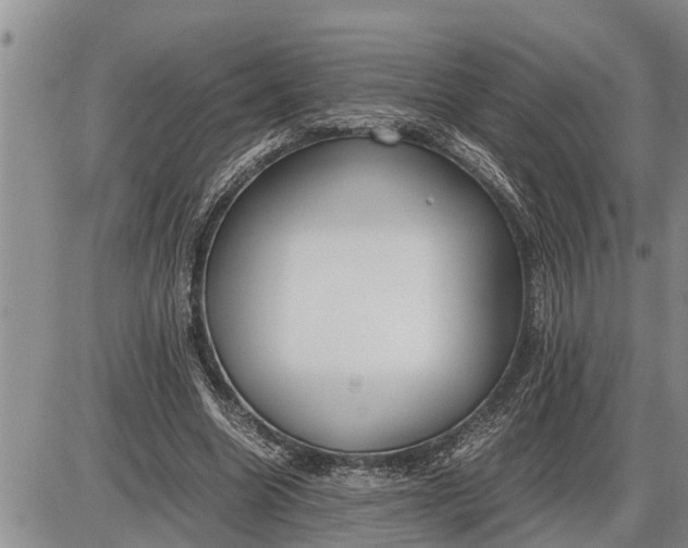 X0000085250538200703231652