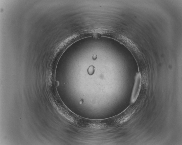 X0000085250540200703231652