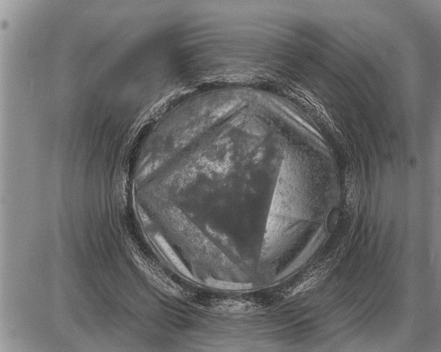 X0000085250542200703231652