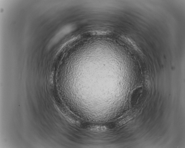 X0000085250543200703231652