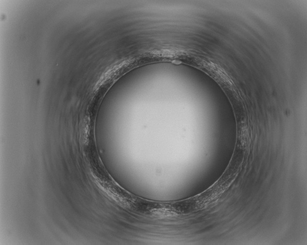 X0000085250544200703231652