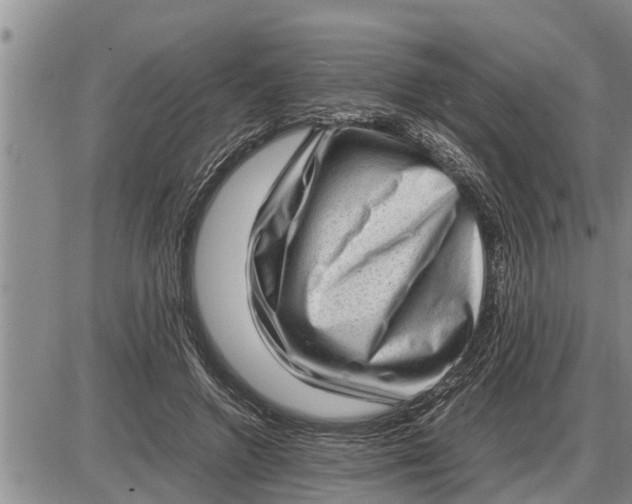 X0000085250546200703231652