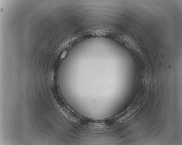 X0000085250548200703231652