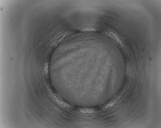 X0000085250549200703231652