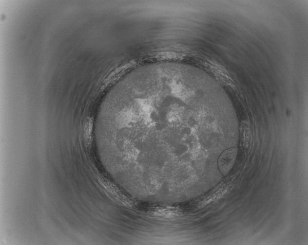 X0000085250550200703231652