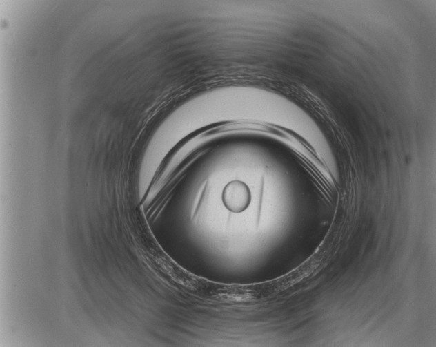 X0000085250552200703231652