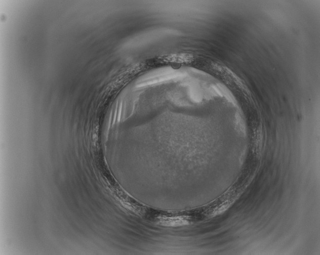 X0000085250553200703231652