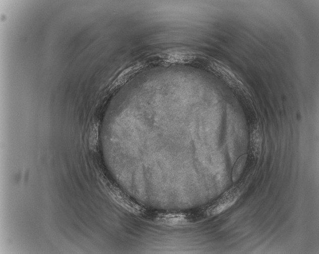 X0000085250554200703231652