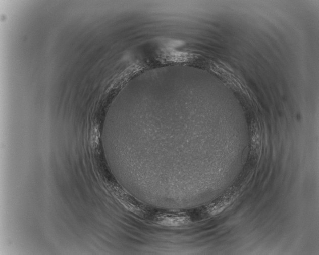 X0000085250555200703231652