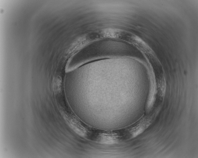 X0000085250556200703231652