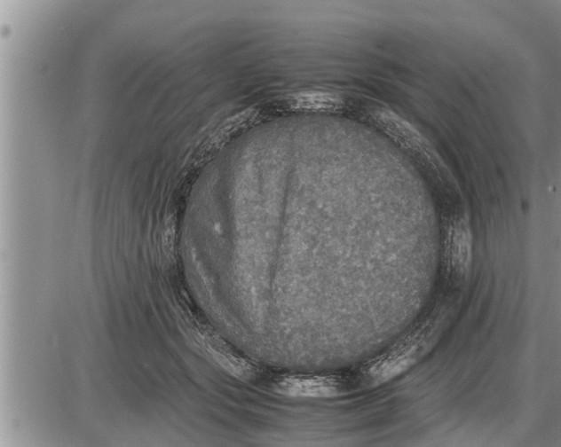 X0000085250557200703231652