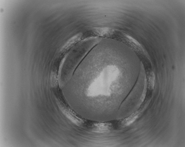 X0000085250558200703231652