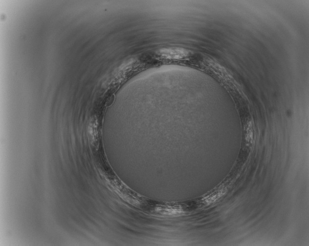 X0000085250559200703231652