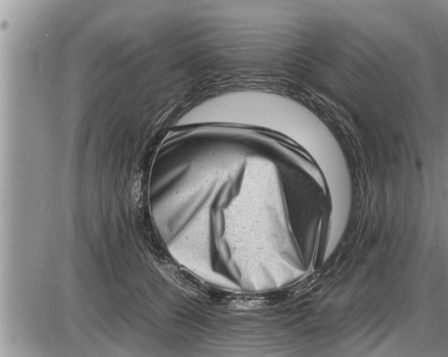 X0000085250560200703231652