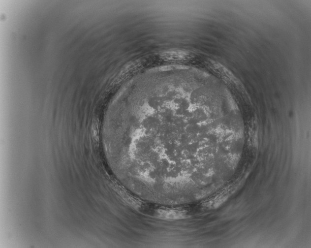 X0000085250561200703231652